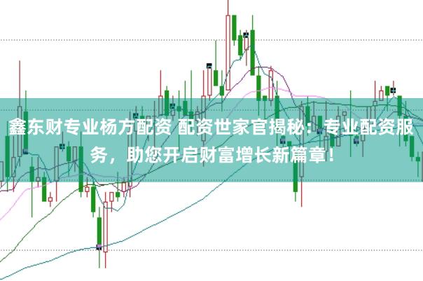鑫东财专业杨方配资 配资世家官揭秘：专业配资服务，助您开启财富增长新篇章！