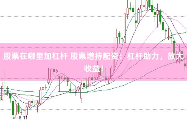 股票在哪里加杠杆 股票增持配资：杠杆助力，放大收益！