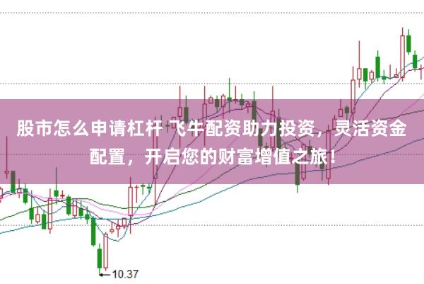 股市怎么申请杠杆 飞牛配资助力投资，灵活资金配置，开启您的财富增值之旅！