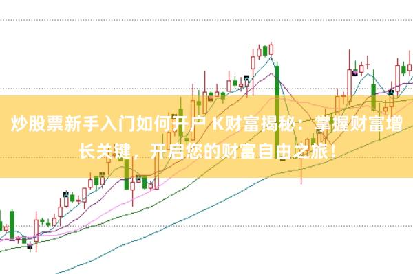 炒股票新手入门如何开户 K财富揭秘：掌握财富增长关键，开启您的财富自由之旅！