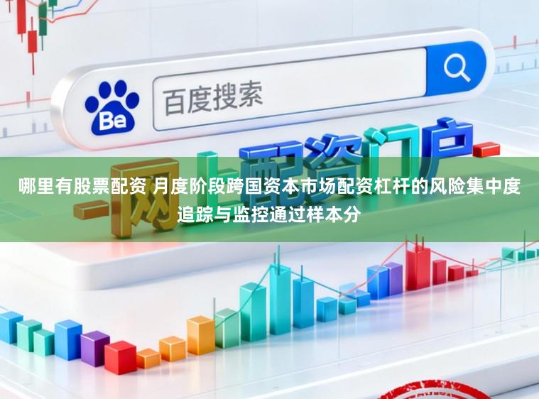 哪里有股票配资 月度阶段跨国资本市场配资杠杆的风险集中度追踪与监控通过样本分
